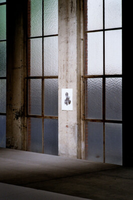 Megan Adé, 2026: Lithographie in stimmungsvollem Licht, präsentiert im Spotlight der Sonne auf einer Säule in einer Industriehalle hängend. 